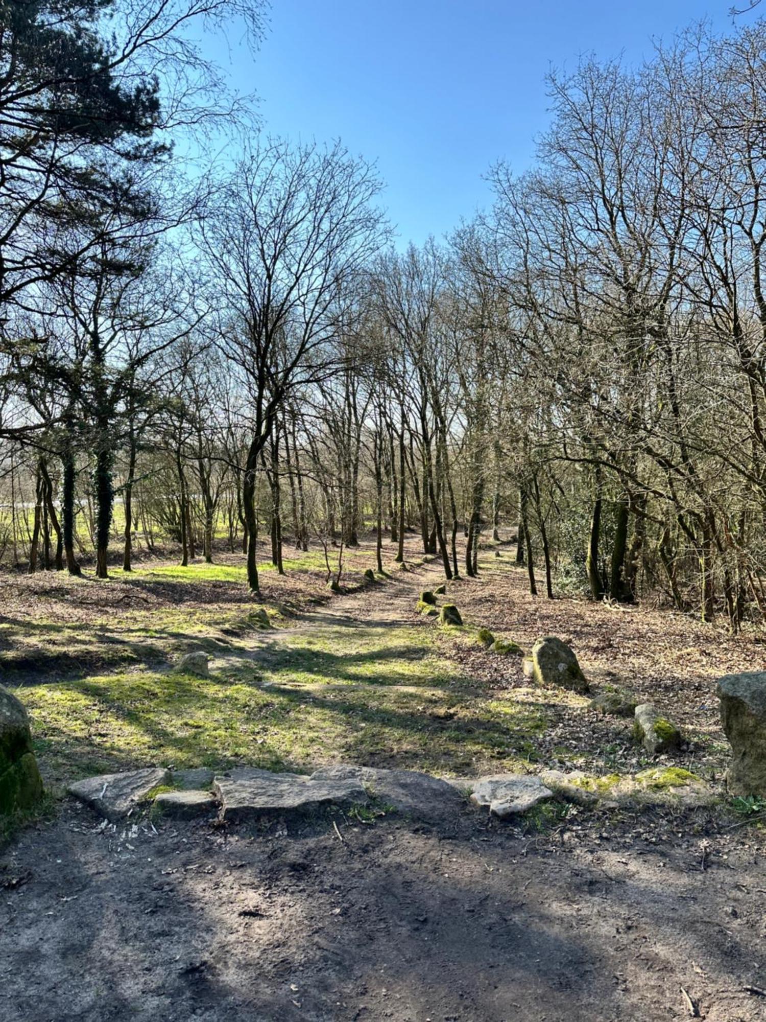 Fewo Am Tillysee In Wardenburg מראה חיצוני תמונה