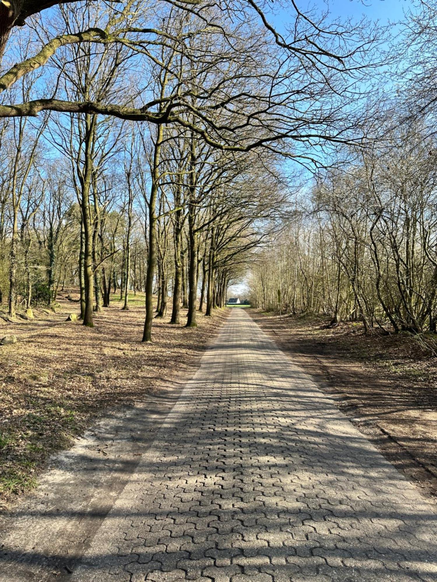 Fewo Am Tillysee In Wardenburg מראה חיצוני תמונה